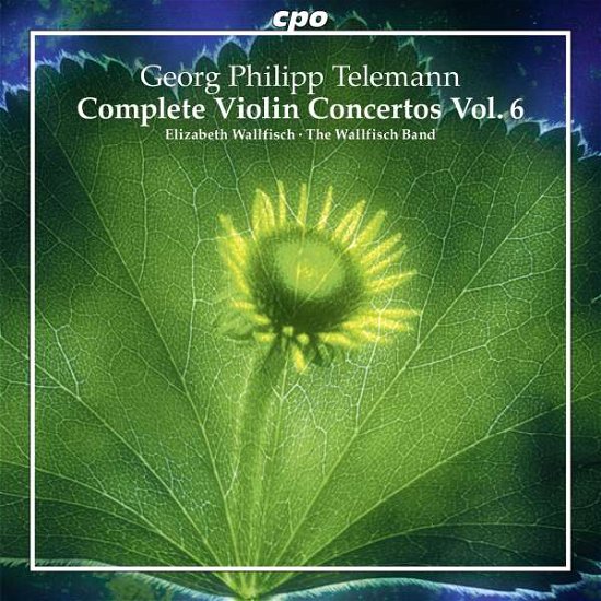 Cover for Telemann,g. / Wallfisch Band / Wallfisch,elizabeth · Telemann: Complete Violin Concertos 6 (CD) (2016)