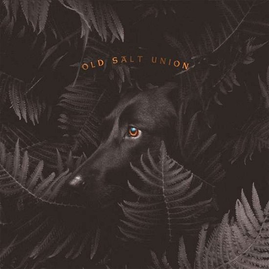 Old Salt Union · Where the Dogs Don't Bite (CD) (2019)