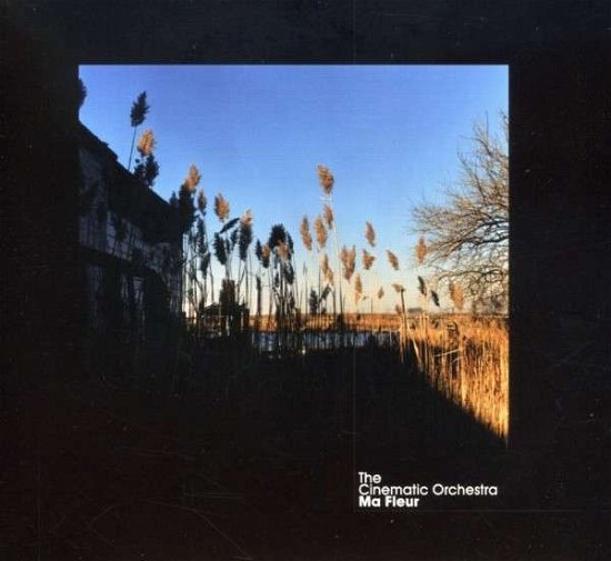 Cover for The Cinematic Orchestra · Ma Fleur (CD) [Digipak] (2020)