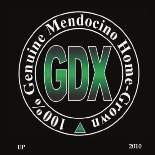 Cover for Gdx · EP 2010 (CD) (2010)