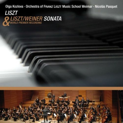 Sonata for Piano in B Minor - Franz Liszt - Muziek - AVI - 4260085530120 - 6 mei 2008