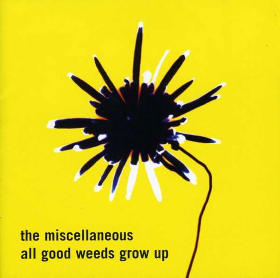 Cover for Miscellaneous · All Good Weeds Grow Up (CD) (2014)