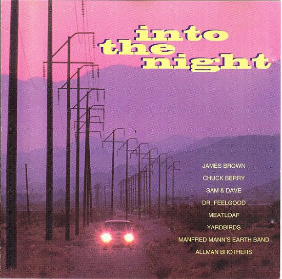 Into The Night - Various Artists - Musiikki - NECTAR - 5023660001120 - maanantai 7. maaliskuuta 1994