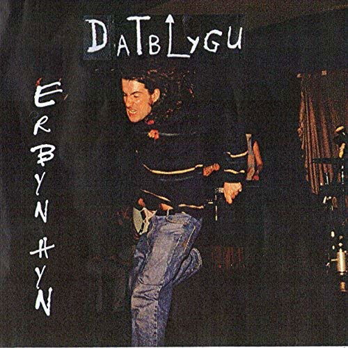 Cover for Datblygu · Erbyn Hyn (CD) (2014)