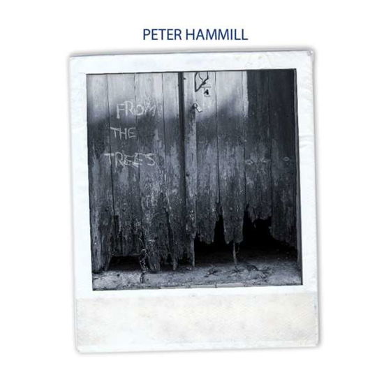 From The Trees - Peter Hammill - Música - FIE - 5024545794120 - 2 de novembro de 2017
