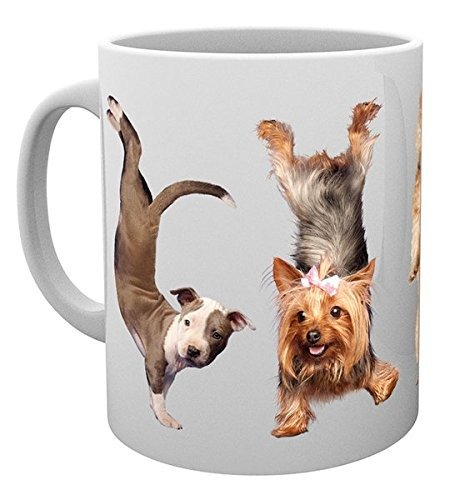 Cover for Yoga · Yoga: Dogs 4 Dogs (Tazza) (MERCH)