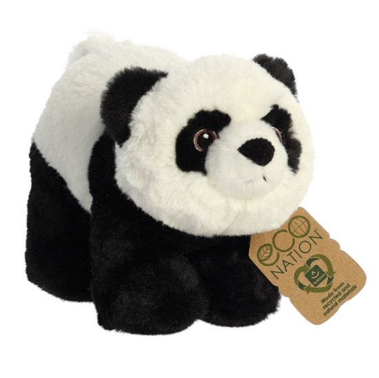 Cover for Eco Nation Panda (Taschenbuch) (2023)