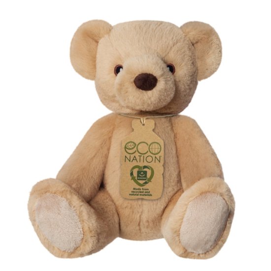 Cover for Eco Nation Teddy Bear (Paperback Book) (2023)
