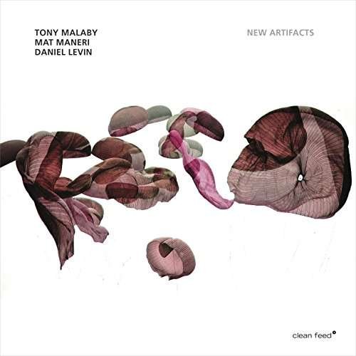 Cover for Tony Malaby · New Artifacts (CD) (2017)