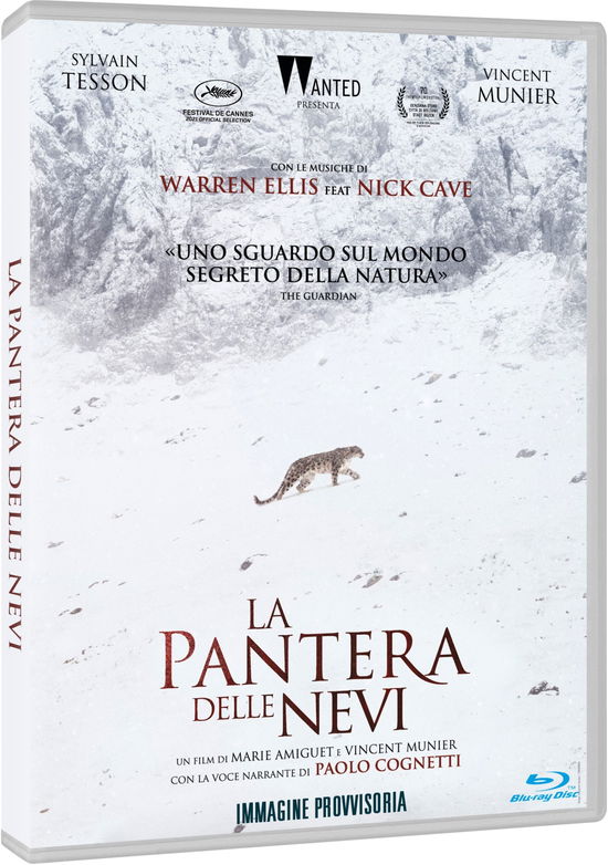 Cover for Pantera Delle Nevi (La) (Blu-ray) (2023)