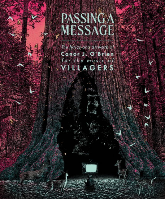 Cover for Passing a Message (Paperback Book) (2024)