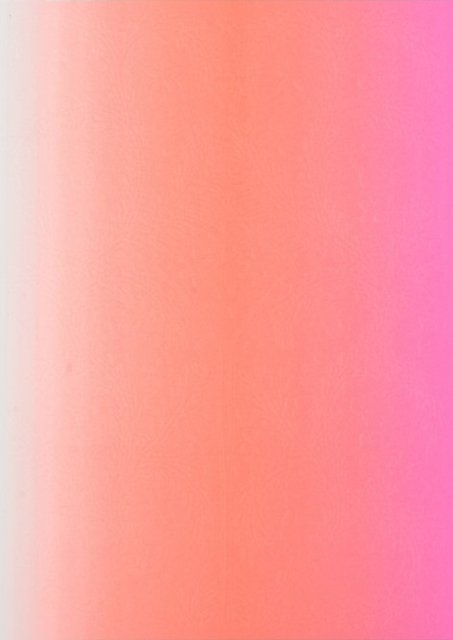 Christian Lacroix Neon Pink A6 6" X 4.25" Ombre Paseo Notebook - Christian Lacroix - Bøger - Galison - 9780735350120 - 1. september 2016