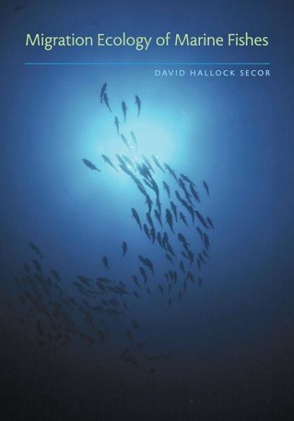 Migration Ecology of Marine Fishes - Secor, David Hallock (Professor, Chesapeake Biological Laboratory) - Böcker - Johns Hopkins University Press - 9781421416120 - 10 augusti 2015
