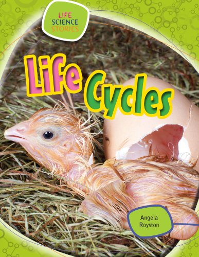 Life Cycles (Life Science Stories) - Angela Royston - Books - Gareth Stevens Publishing - 9781433987120 - January 16, 2013