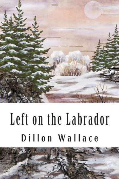 Cover for Dillon Wallace · Left on the Labrador: a Tale of Adventure Down North (Paperback Book) (2010)