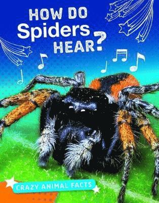 Cover for Nancy Furstinger · How Do Spiders Hear? - Crazy Animal Facts (Hardcover Book) (2019)