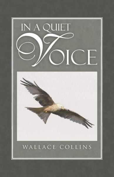 Cover for Wallace Collins · In a Quiet Voice (Taschenbuch) (2014)
