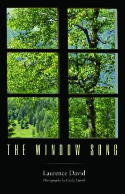 Cover for Laurence David · The Window Song (Paperback Book) (2017)