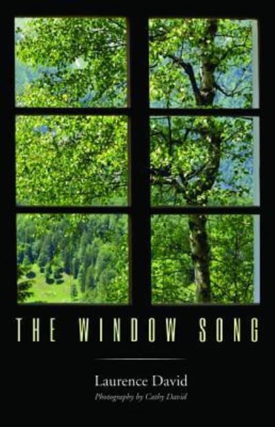 The Window Song - Laurence David - Books - Resource Publications - 9781532619120 - July 26, 2017