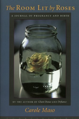 Cover for Carole Maso · Room Lit by Roses (Paperback Book) (2002)