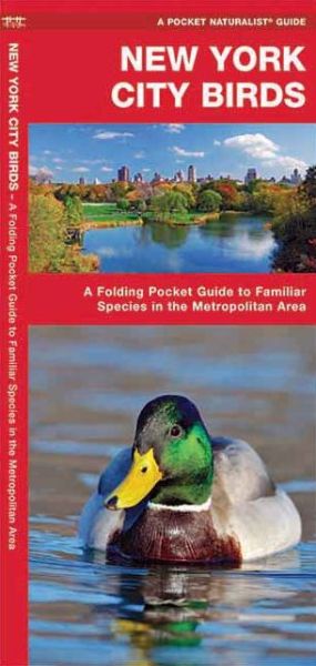 Cover for James Kavanagh · New York City Birds: a Folding Pocket Guide to Familiar Species in the Metropolitan Area (Pocket Naturalist Guide Series) (Pamphlet) [1st edition] (2017)