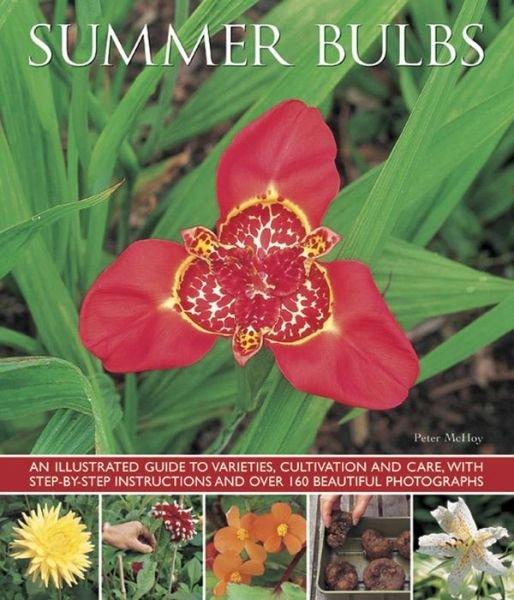 Cover for Mchoy Peter · Summer Bulbs (Paperback Bog) (2014)