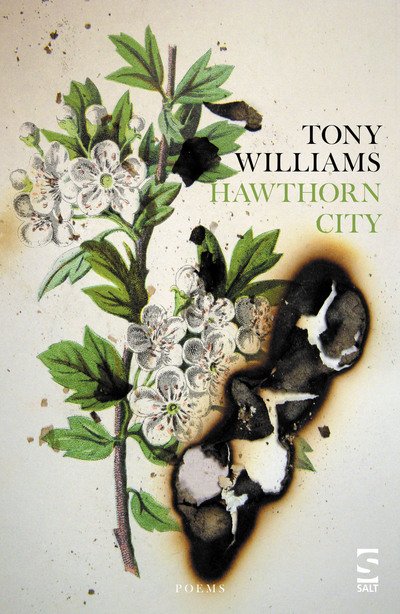Cover for Tony Williams · Hawthorn City - Salt Modern Poets (Taschenbuch) (2019)