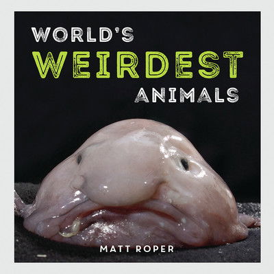 Cover for Matt Roper · World's Weirdest Animals (Hardcover Book) (2017)