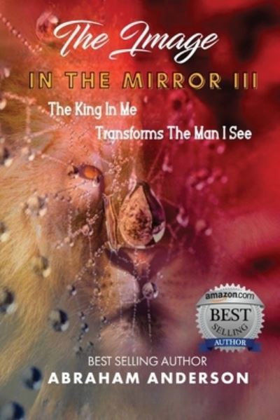 Cover for Abraham Anderson · Image in the Mirror III (Bok) (2023)