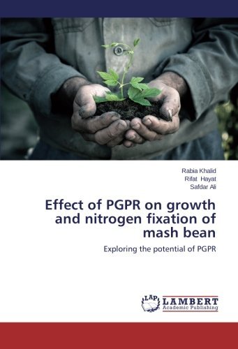 Cover for Safdar Ali · Effect of Pgpr on Growth and Nitrogen Fixation of Mash Bean: Exploring the Potential of Pgpr (Paperback Book) (2014)