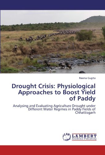 Cover for Reena Gupta · Drought Crisis: Physiological Approaches to Boost Yield of Paddy: Analysing and Evaluating Agriculture Drought Under Different Water Regimes in Paddy Fields of Chhattisgarh (Pocketbok) (2011)
