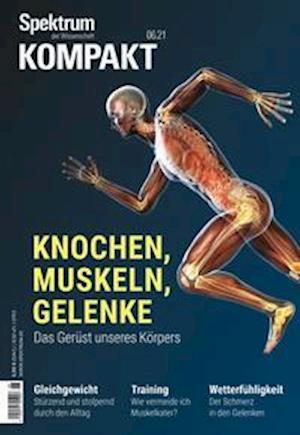 Cover for Spektrum D. Wissenschaft · Spektrum Kompakt - Knochen, Muskeln, Gelenke (Paperback Book) (2021)