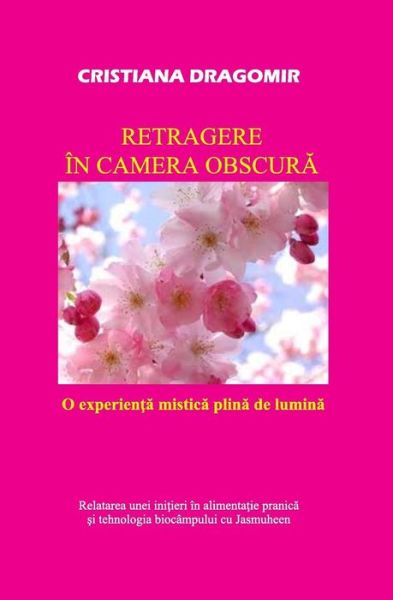 Cover for Cristiana Dragomir · Retragere in Camera Obscura: O Experienta Mistica Plina De Lumina (Paperback Book) [Romanian, 1 edition] (2014)