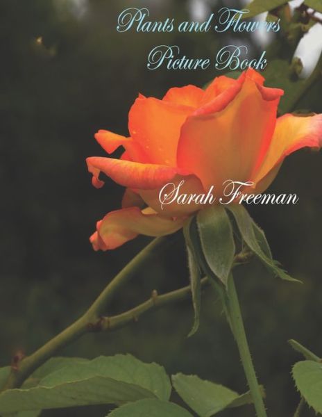 Cover for Sarah Freeman · Plants and Flowers Picture Book - Plants (Paperback Book) (2020)