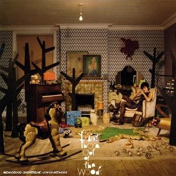 Cover for Tracey Thorn · Out of the Wood (CD) (2007)