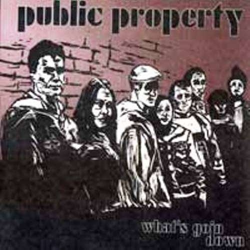 Cover for Public Enemy · What's Goin Down (CD) (2008)
