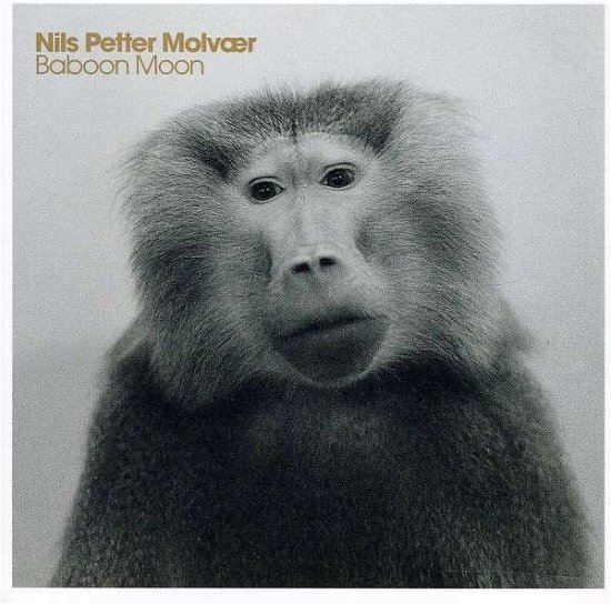 Cover for Nils Petter Molvaer · Baboon Moon (CD) (2011)