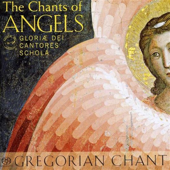 Cover for Traditional · Chants of Angels (CD) (2011)