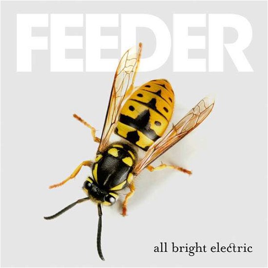 Cover for Feeder · All Bright Electric (CD) (2016)