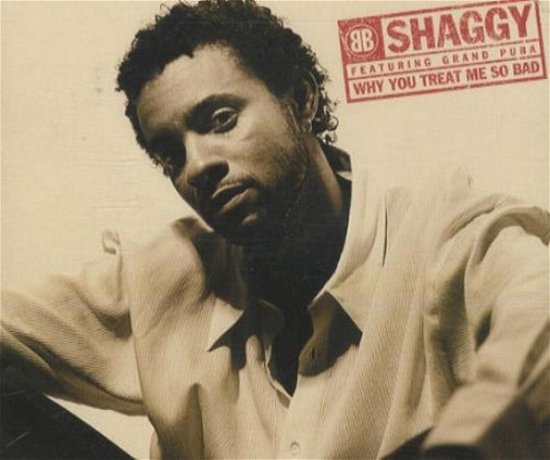Cover for Shaggy · Why You Treat Me So Bad -cds- (SCD)