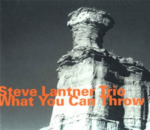 What You Can Throw - Steve Lacy - Musiikki - HATOLOGY - 0752156064121 - maanantai 7. tammikuuta 2008