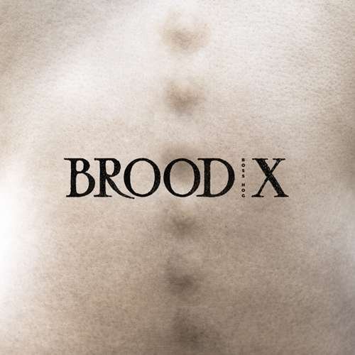Cover for Boss Hog · Brood X (CD) (2017)