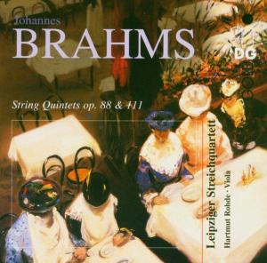 String Quintets Op 88 & 111 - Brahms / Rohde / Leipzig Strig Quartet - Musik - MDG - 0760623125121 - 21. september 2004