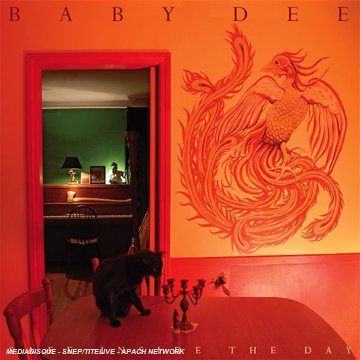 Cover for Baby Dee · Safe Inside The Day (CD) (2008)