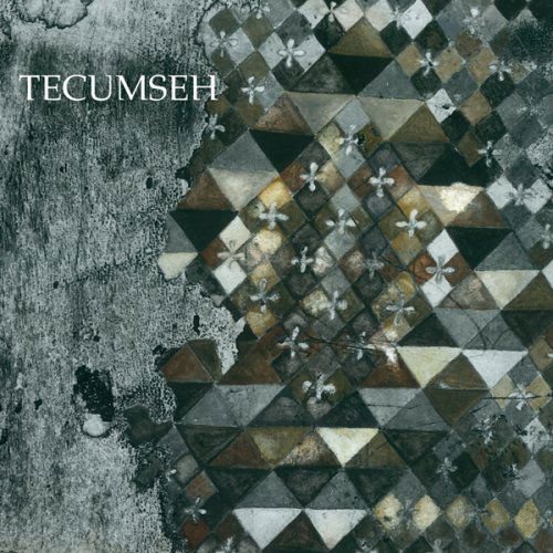 Cover for Tecumseh · Avalanche &amp; Inundation (CD) (2008)