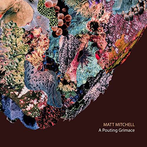 A Pouting Grimace - Matt Mitchell - Music - PI RECORDINGS - 0808713007121 - November 17, 2017