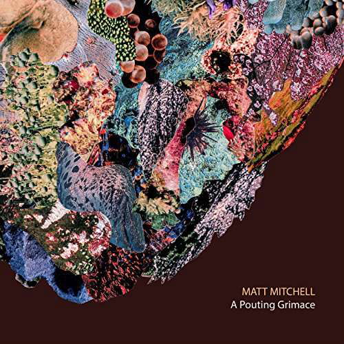 Cover for Matt Mitchell · A Pouting Grimace (CD) (2017)
