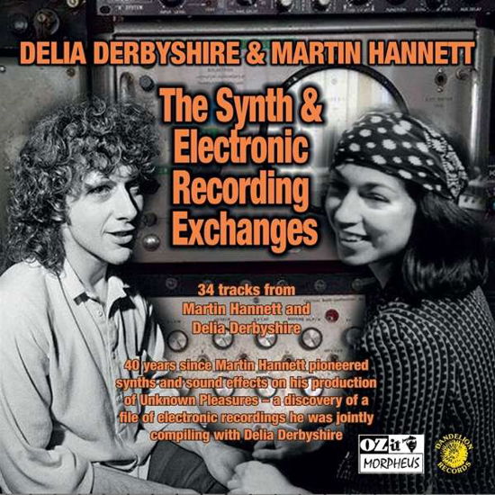Synth And Electronic Recording Exchanges - Derbyshire, Delia & Martin Hannett - Muziek - CARGO UK - 0811702018121 - 5 juli 2019