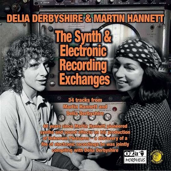 Cover for Derbyshire, Delia &amp; Martin Hannett · Synth And Electronic Recording Exchanges (CD) (2019)