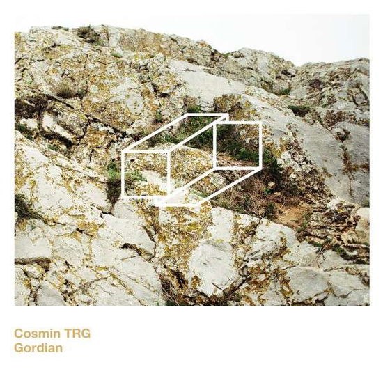 Cover for Cosmin Trg · Gordian (LP) (2013)